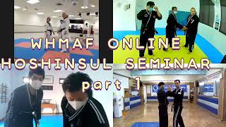 WHMAF HAPKIDO hoshinsul seminar [합기도 호신술 온라인 수업]_dkb park