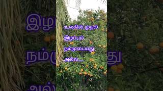 வாழ்க்கை வெறுத்துப் போனவர்கள் ...ytshort#newfeed#lifemotivation tamil...