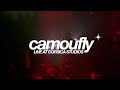 camoufly | Live at Corsica Studios