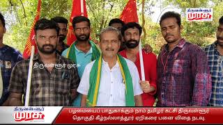 பழமையைப் பாதுகாக்கும் நாம் தமிழர் கட்சி | திருவள்ளூர் தொகுதி பனை விதை நடவு |திருவள்ளூர் முரசு.