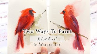 How To Paint A Cardinal Bird In Two Ways Step By Step Watercolor Tutorial