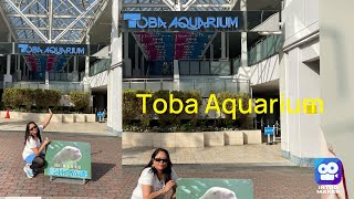 Sea Lion Show Toba Aquarium Mieken Japan part 3