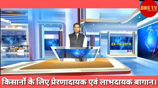 सिंघवारा प्रखंड के भराठी गांव में जीतू महतो जी का दर्शनीय एवं लाभदायक बागान