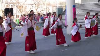 七色七味（サクラタウンよさこい2023～師走祭②・「似自色 開運 必笑祈願」）