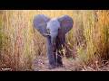 LIVE at the waterhole - 23 March 2026