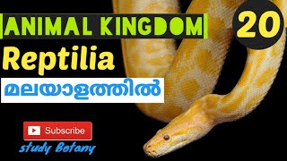 REPTILIA ANIMAL KINGDOM PART-20 PLUS ONE BIOLOGY MALAYALATHIL STUDY BOTANY SCERT NCERT SB