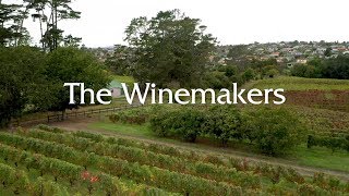 Henderson High School's Winemakers