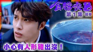 食腦喪B｜第1集加長版劇集精華｜小心有人形豬出沒！｜何廣沛｜TVB港劇精華