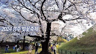 2024년 경주벚꽃축제 :2024.03.22 ~ 03.24//대릉원//돌담길//