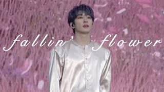 [4K] 220327 캐럿랜드 Fallin' flower 원우