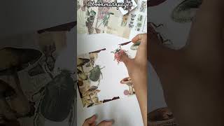 #scrapbooking #journaling #insects #mushroom