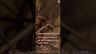 Mulmudi aninjukondeesho whatsapp status #kester #christian #status