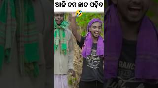 ଆଜି ତମ chata ପଡ଼ିବ #mrdevacomedy #guluacomedy #shorts #newodiacomedy