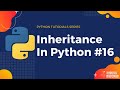 Inheritance In Python | Python Tutorials | Python Programming in 5 Minutes #16
