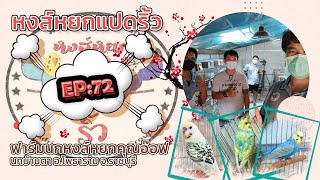 🥰 หงส์หยกแปดริ้ว EP.72 ฟาร์มนกหงส์หยกคุณอ๊อฟ นกบ้านตา