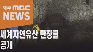 세계자연유산 만장굴 공개