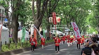 2022年5月15日  仙台青葉まつり　まつりめごひめ  本祭り定禅寺通り南側演舞