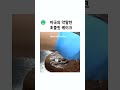 미국의 초코 케이크는 맨 처음에 뿌리는 시럽 같은 건 액상과당이라고 함..😇