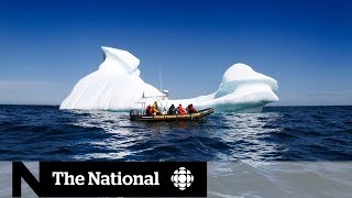 The global impact of Canada's melting icebergs