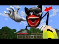 Я ПРИЗВАЛ ШИН МУЛЬТЯШНЫЙ КОТ В СВОЕМ МИРЕ В МАЙНКРАФТ КАК ПРИЗВАТЬ SHIN CARTOON CAT SCP В MINECRAFT