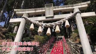 日本一の雛壇飾り～伊豆稲取素戔嗚神社