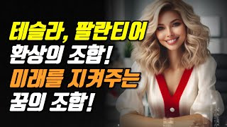 테슬라, 팔란티어 환상의 조합! 미래를 지켜주는 꿈의 조합