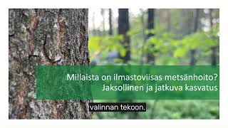 Ilmastoviisaus kilpailuvalttina? (infosarjan osa 1)