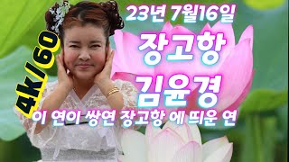 23년 7월16일 충남 당진 장고항 동그라미  윤경품바 공연 영상입니다