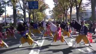 【公式】 鳳遙恋2014『かけくらべ』 いちょう祭り