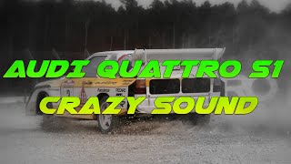 Crazy Sound Of Audi Quattro S1
