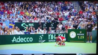 Novak Djokovic Injury Davis Cup 2011