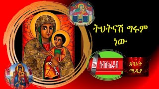 ትህትናሽ ግሩም ነው （Official Lyrics）