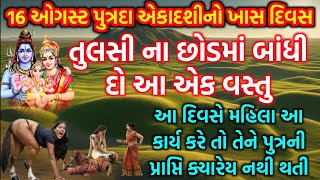 પુત્રદા એકાદશીનો ખાસ દિવસ તુલસીના છોડમાં બાંધી દો આ એક વસ્તુ