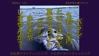 〜バラシ過ぎな夏の日〜FlyFishing 2024年8月浜名湖クロダイ