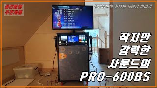 작지만 강력한 사운드의 PRO-600BS 이동식 노래방기기 세트 / 경기도 양평 세컨하우스 / made by 공간장이