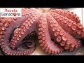 INCREDIBLE OCTOPUS RECIPE 🐙. Simply delicious