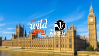 Wild LIVE: Environment Act - is the UK Government delivering on its promises?