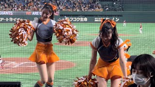 GIANTS VENUS2024 大倉かりん 清純派の超美少女チアガールを目の前に癒される【 巨人対楽天】オープン戦にて　2024/3/24(日)in東京ドーム