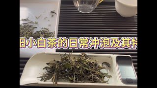 建阳小白茶的日常冲泡及其特征