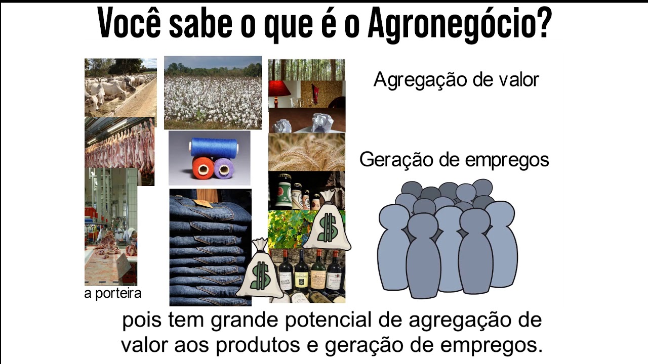 Você Sabe O Que é O Agronegócio? - YouTube