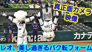 20211204 レオの美し過ぎるバク転フォームを真正面から見る動画！ ～ 西武ライオンズ·ファン感、オープニング【ライオンズサンクスフェスタ2021】