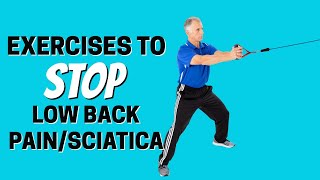 7 Absolute Best Exercises for Stopping Low Back Pain & Sciatica with Everyday Chores