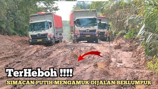 TERHEBOH !!! SIMACAN PUTIH HINO500 FM 235 JD MENGAMUK DIJALAN TANAH LUNAK