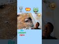 frog🐸 vs rat🐀 viral