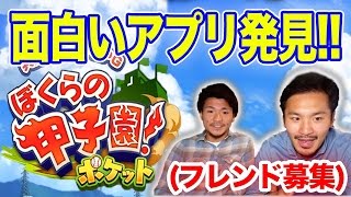 ぼくポケ！！みんなで甲子園を目指そう！！！【ぼくらの甲子園！ポケット】