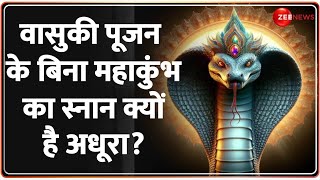 वासुकी पूजन के बिना महाकुंभ का स्नान क्यों है अधूरा? Mahakumbh 2025 Update | Samudra Manthan Vasuki