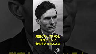 ヨシフ・スターリンは戦後ユダヤ人の大迫害を計画していた#ゆっくり解説＃ヒトラー＃ナチス＃ユダヤ人＃第二次世界大戦＃ソ連＃共産主義＃共産趣味＃クルスク＃革命#第一次世界大戦#歴史解説#イスラエル