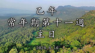 #陳神父默思日記 | 乙年常年期第十一週主日 | 講者 : 陳新偉神父 2024.6.16