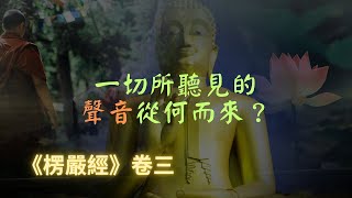 【楞嚴經】一切所聽見的聲音從何而來？不是耳根不是聲塵本身，不是因緣不是自然？看佛怎麼說？｜楞嚴經｜宣化上人｜佛子