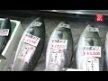 fatty yellowtail season begins in central japan